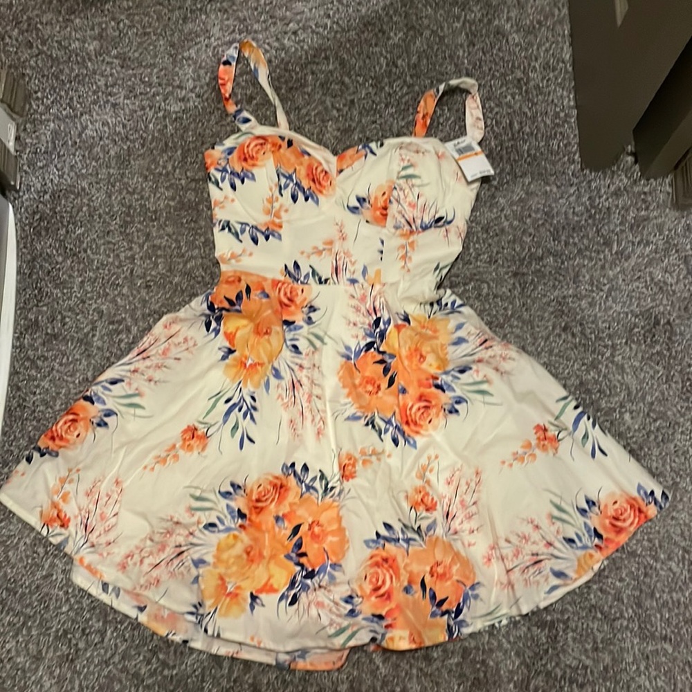 NWT pinup  fit and flare